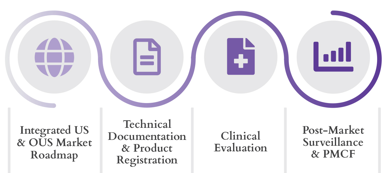 International Regulatory Graphic