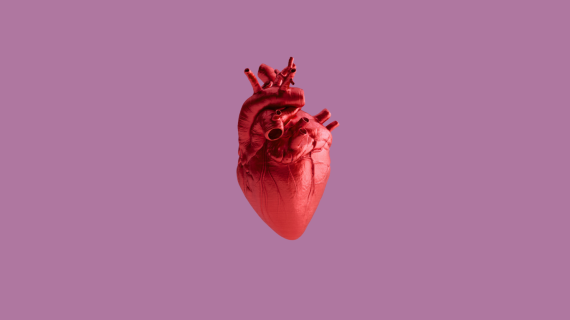 A 3D image of an anatomical red heart with a pink-purple background.