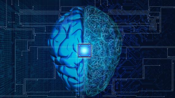 Split image of the brain with a chip in the center