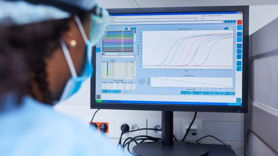A statistician reviewing data on a computer screen.