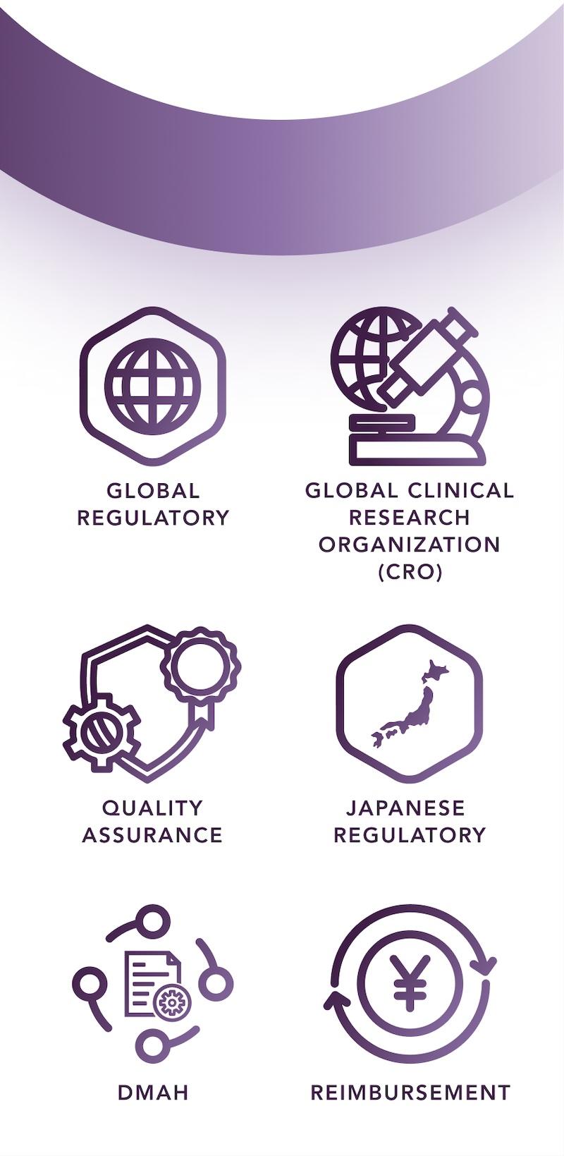 Services Infographic