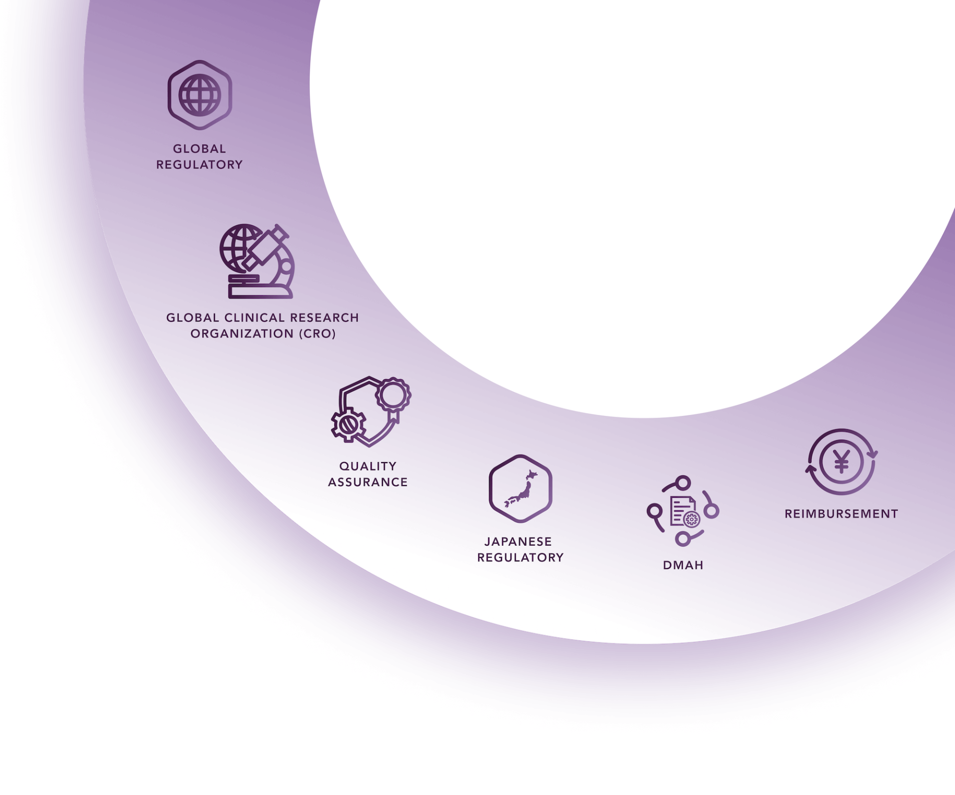 Services Infographic